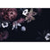 Antique Floral Assemblage I