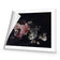 Antique Floral Assemblage II