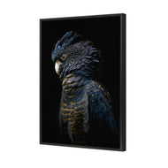 Lady Black Cocky Dark