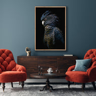 Lady Black Cocky Dark