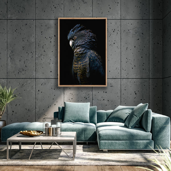 Floor Stock-Lady Black Cocky Dark