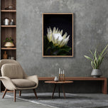 Protea in Darkness Vertical