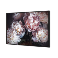 Moody Peonies