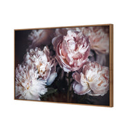 Moody Peonies