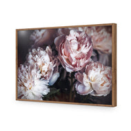 Moody Peonies