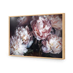 Moody Peonies