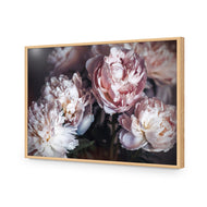 Moody Peonies