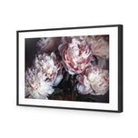 Moody Peonies