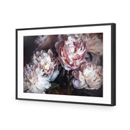 Moody Peonies
