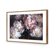 Moody Peonies