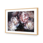 Moody Peonies