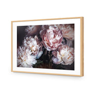 Moody Peonies