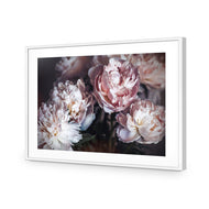 Moody Peonies