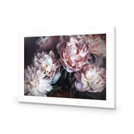 Moody Peonies