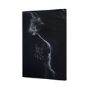 Flamingo's Paradise 3 - Lake Natron