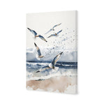 Seagulls 1