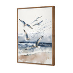 Seagulls 1