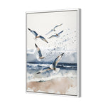 Seagulls 1