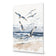 Seagulls 1