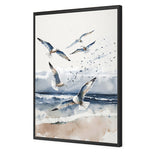 Seagulls 1