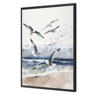 Seagulls 1