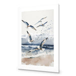 Seagulls 1