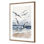 Seagulls 1