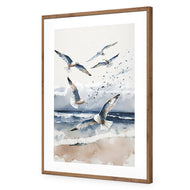 Seagulls 1