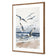 Seagulls 1