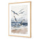 Seagulls 1