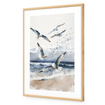 Seagulls 1
