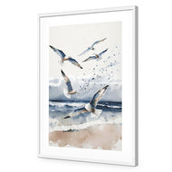 Seagulls 1
