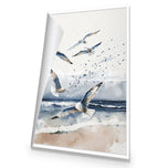 Seagulls 1