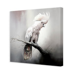 Lonely Cockatoo