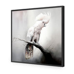 Lonely Cockatoo