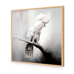 Lonely Cockatoo