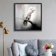 Lonely Cockatoo