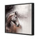 Tranquil Horse