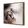Tranquil Horse