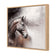 Tranquil Horse