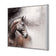 Tranquil Horse