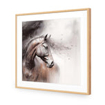Tranquil Horse