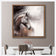 Tranquil Horse
