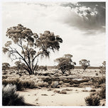 Australian Sight 1
