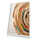 Colourful Rings