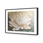 Lotus Beauty