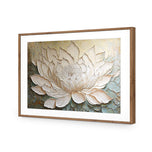 Lotus Beauty