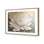 Lotus Beauty