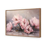 Peonies