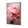 Peonies 2